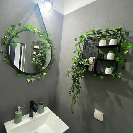Green Vibes Central Brasov Exterior photo
