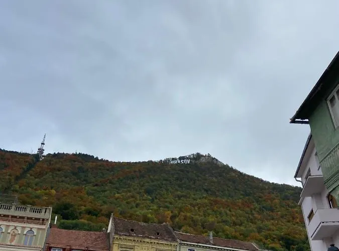 Green Vibes Central Brasov