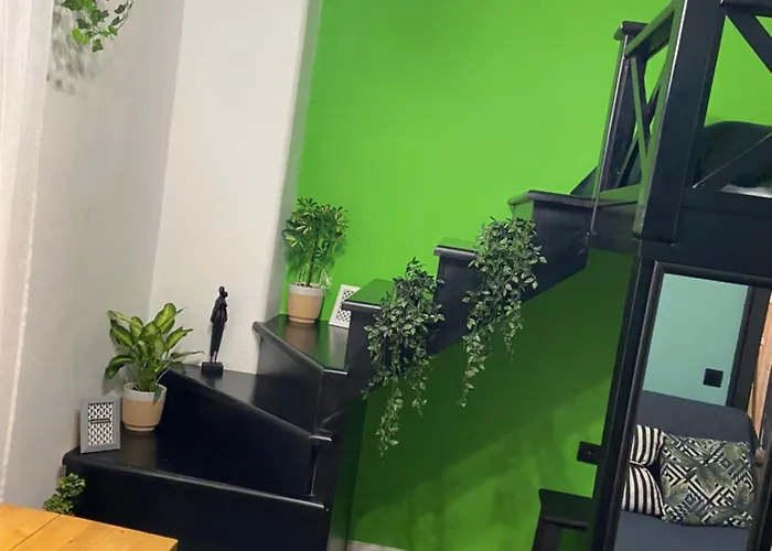 Green Vibes Central Brasov